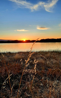 Federico García Lorca