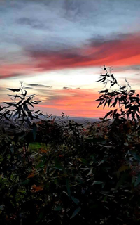 Federico García Lorca