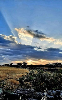 Santa Teresa de Jesús